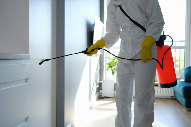 Best Home Mold Removal  in The Hammocks, FL