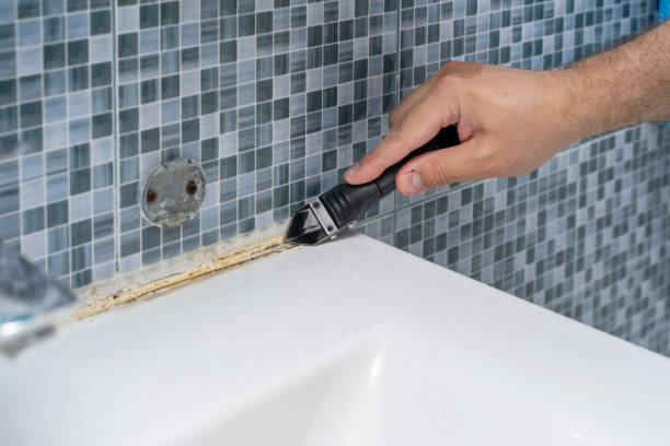 Best Mold Removal Company Near Me  in The Hammocks, FL